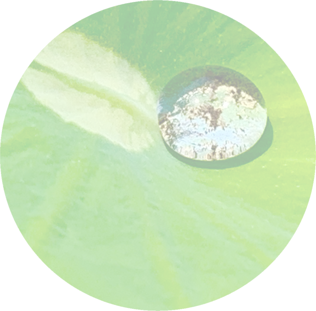 Image ALT